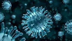 وباء جديد يطرق الأبواب لينافس فيروس كورونا.