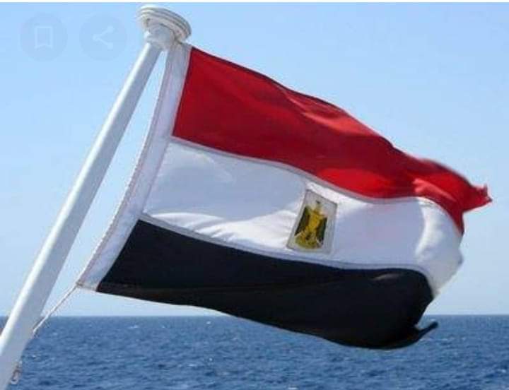 عودة" 150 "مواطن مصرى من "ميناء ضبا السعودى"