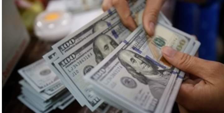 " استقرار سعر الدولار الأمريكي أمام الجنيه المصري"