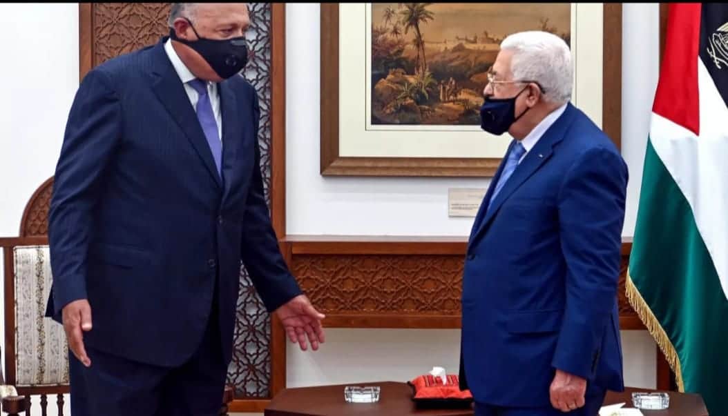وزير الخارجية المصري يؤكد رفض بلاده لخطط الضم الإسرائيلية    تقابل وزير الخارجية