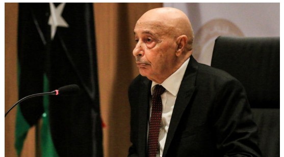مجلس النواب الليبي يحذر من التعامل مع غير مؤسسات الدولة.