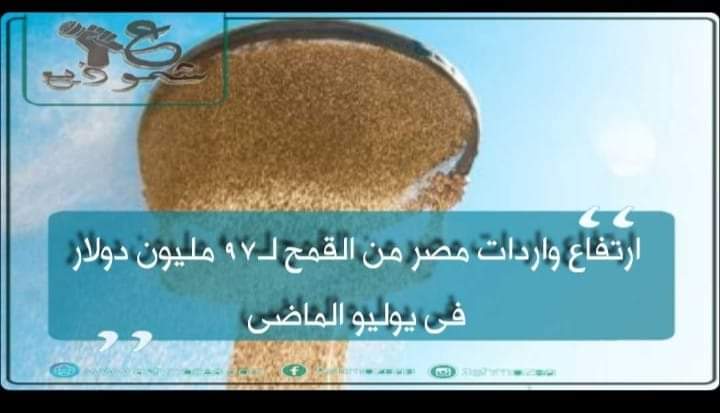 ارتفاع واردات مصر من القمح لـ97 مليون دولار فى يوليو الماضى