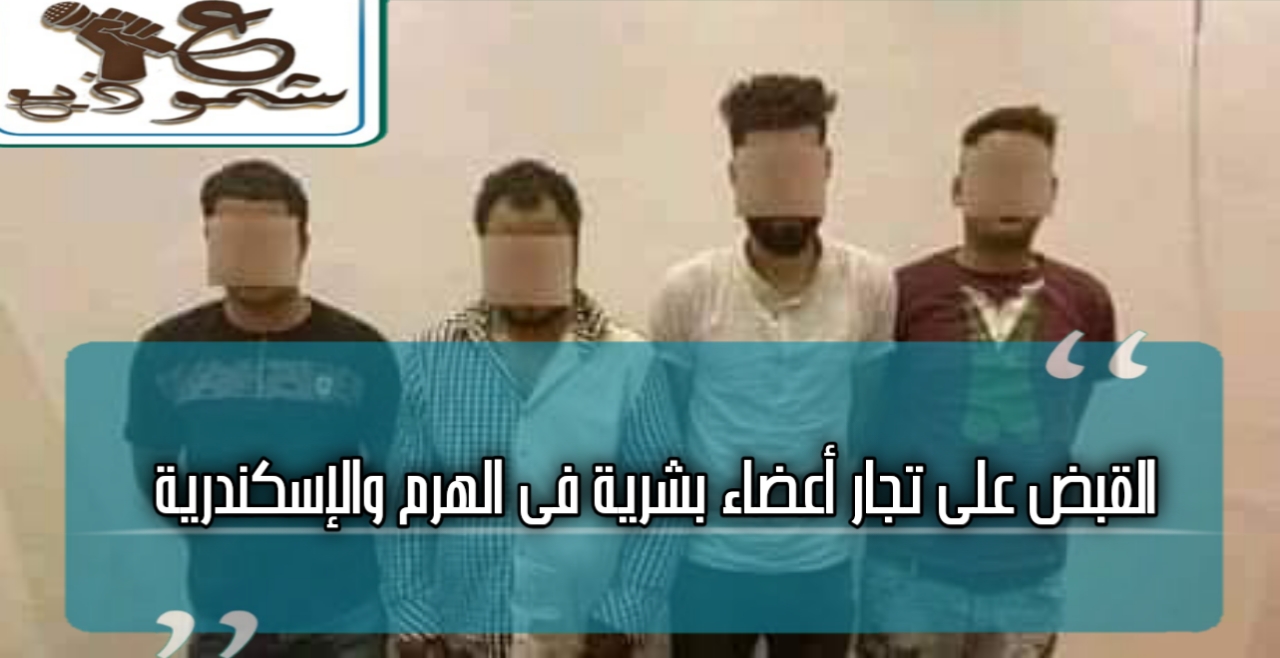 القبض على تجار أعضاء بشرية في الهرم والإسكندرية
