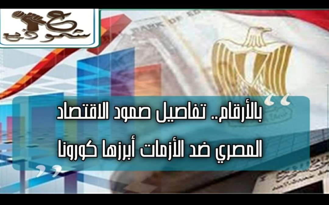 صمود الاقتصاد المصري ضد أزمة كورونا