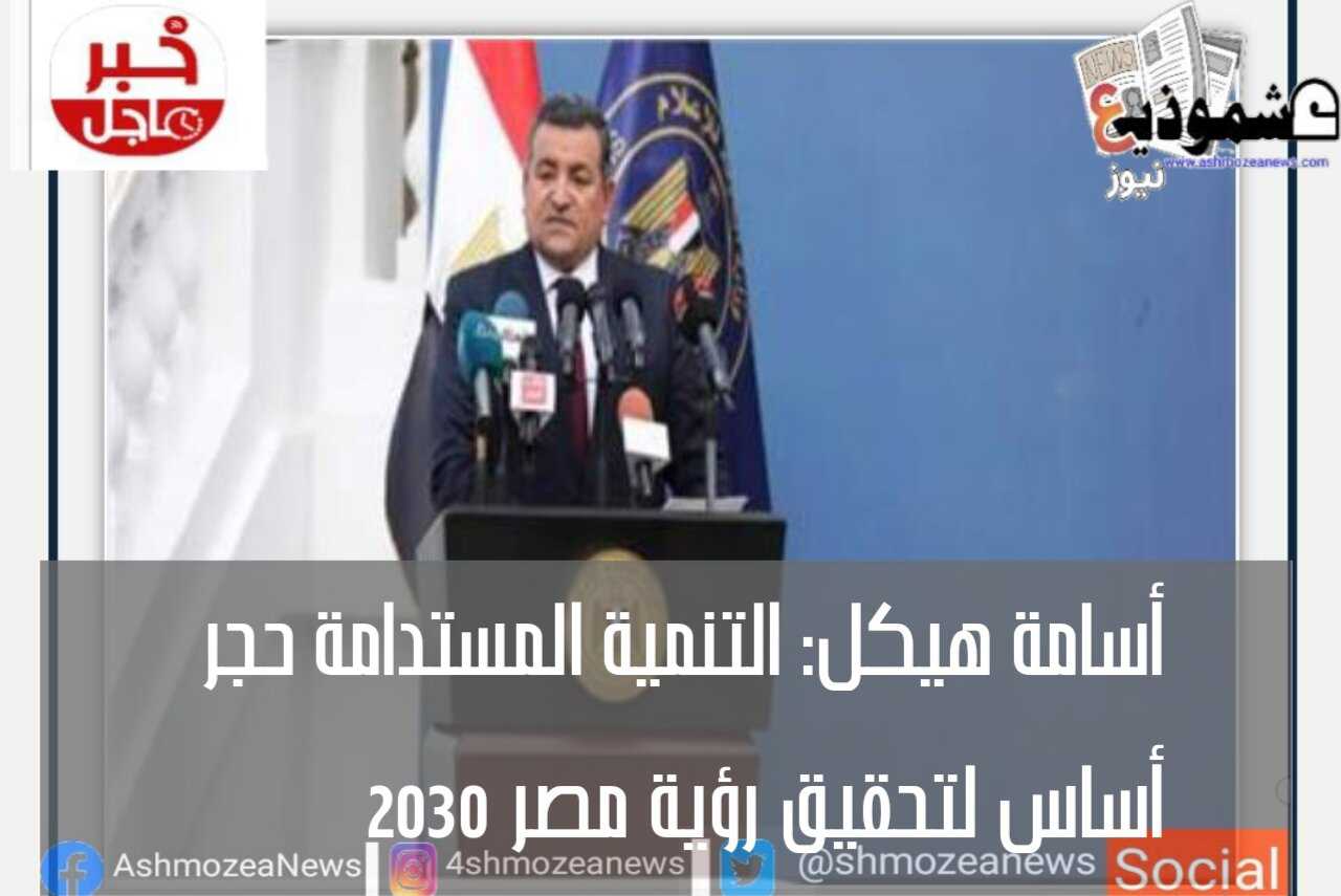 أسامة هيكل: التنمية المستدامة حجر أساس لتحقيق رؤية مصر 2030.