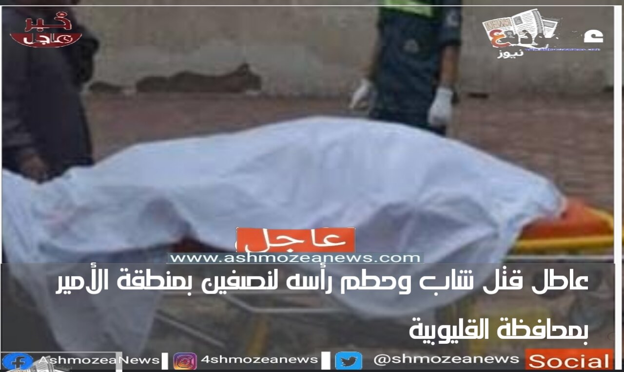 عاطل قتل شاب وحطم رأسه لنصفين بمنطقة الأمير  بمحافظة القليوبية