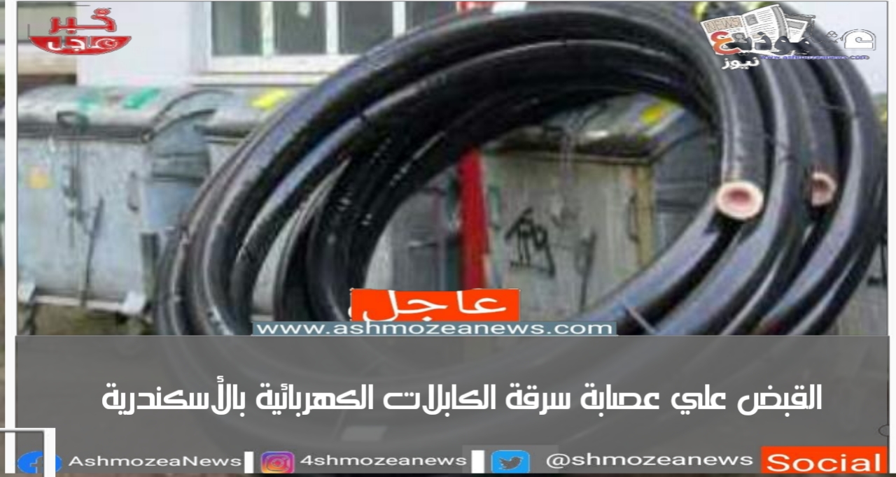 القبض على عصابة سرقة الكابلات الكهربائية بالأسكندرية