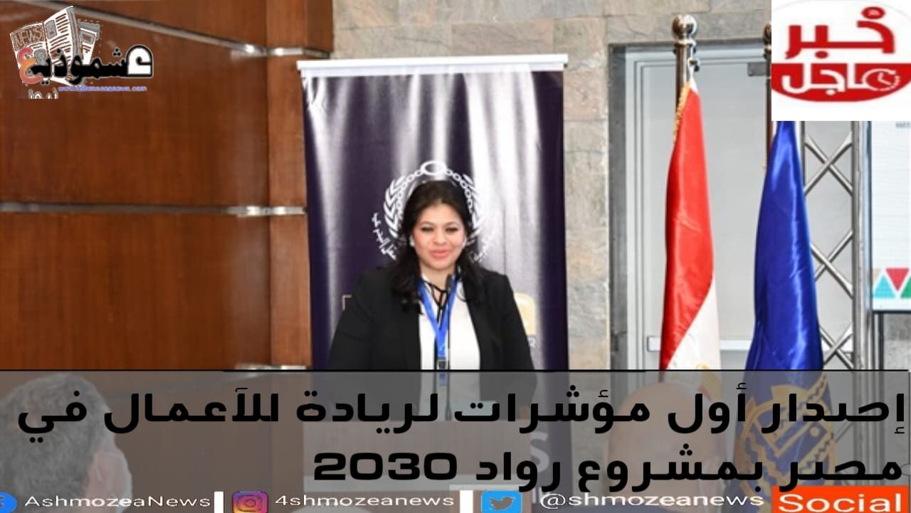 إصدار أول مؤشرات لريادة الأعمال في مصر بمشروع رواد 2030 