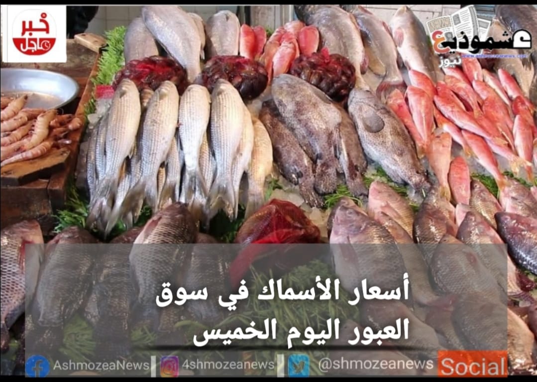 أسعار الأسماك في سوق العبور اليوم الخميس    ‏