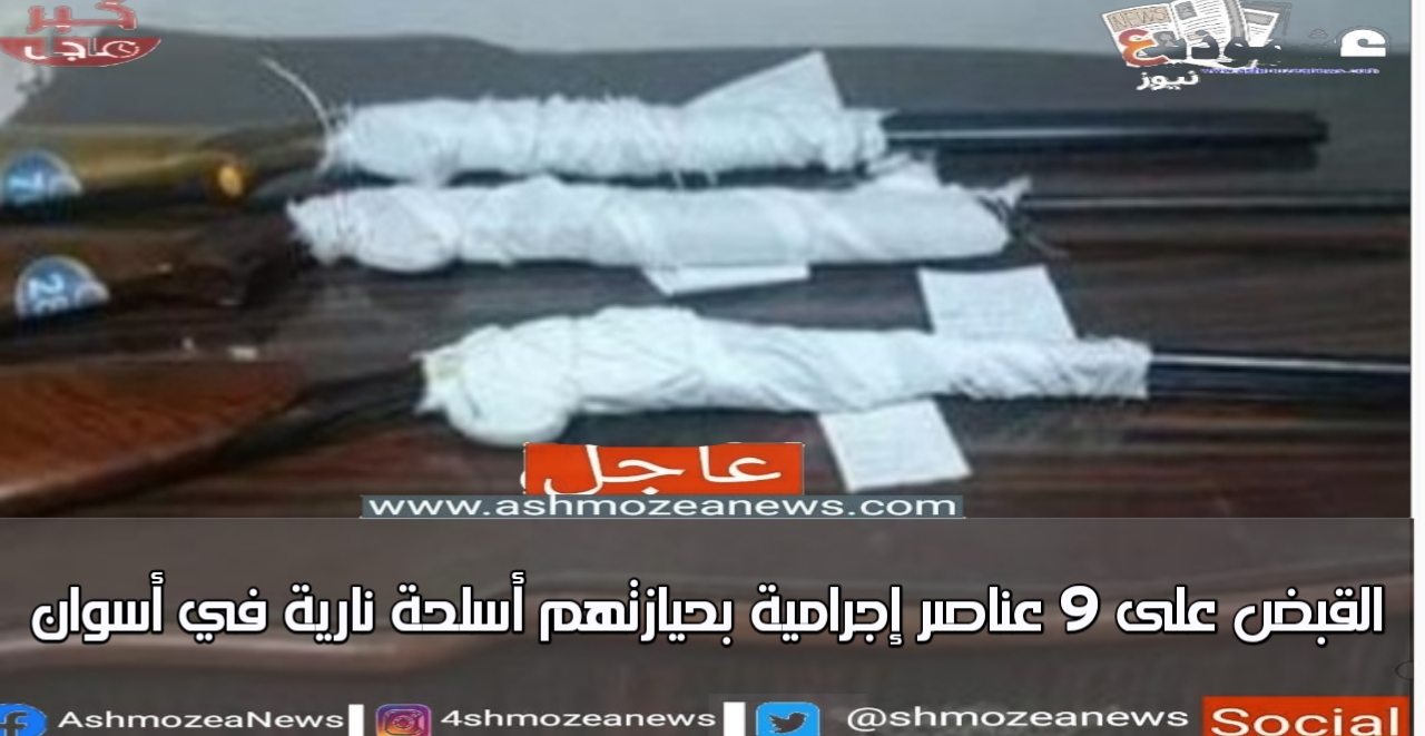 القبض على 9 عناصر إجرامية بحيازتهم أسلحة نارية في أسوان
