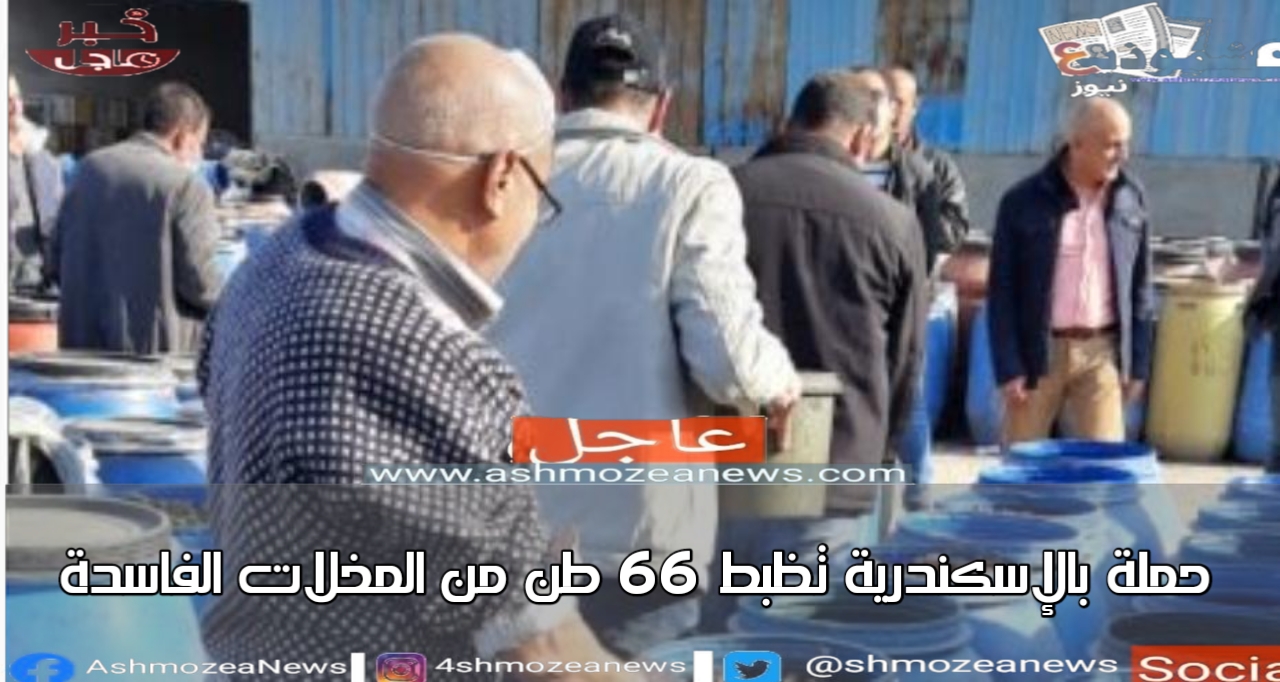 حملة بالإسكندرية تظبط 66 طن من المخلات الفاسدة