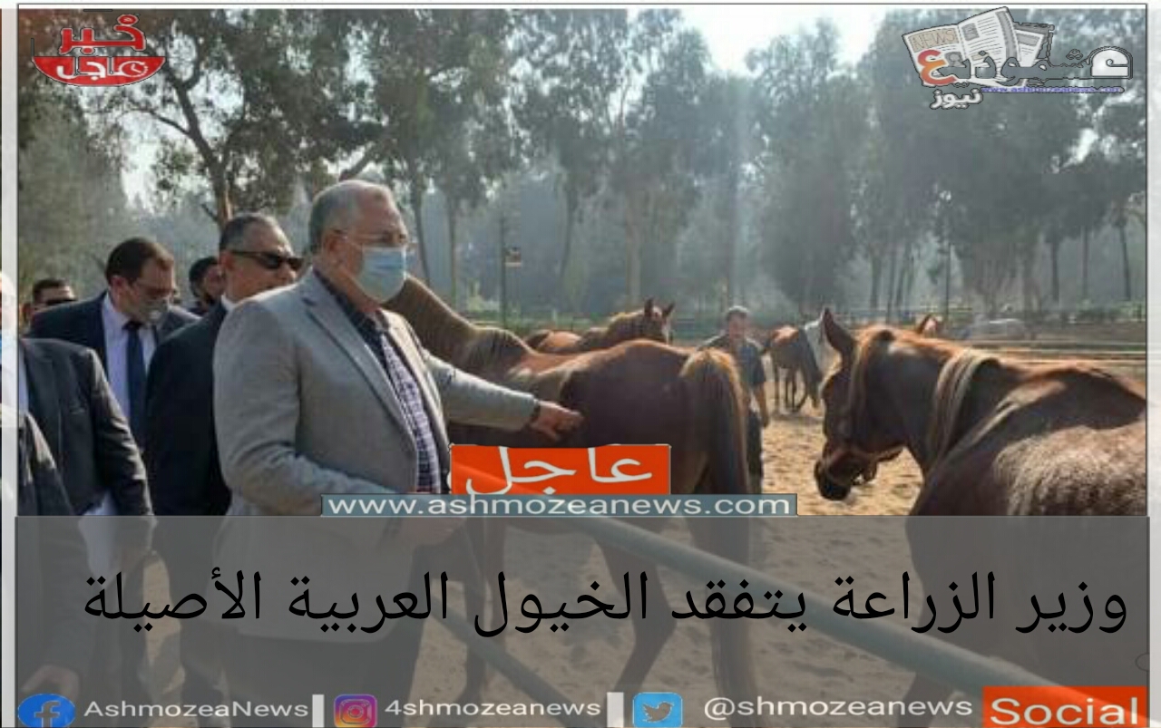 وزير الزراعة يتفقد الخيول العربية الأصيلة