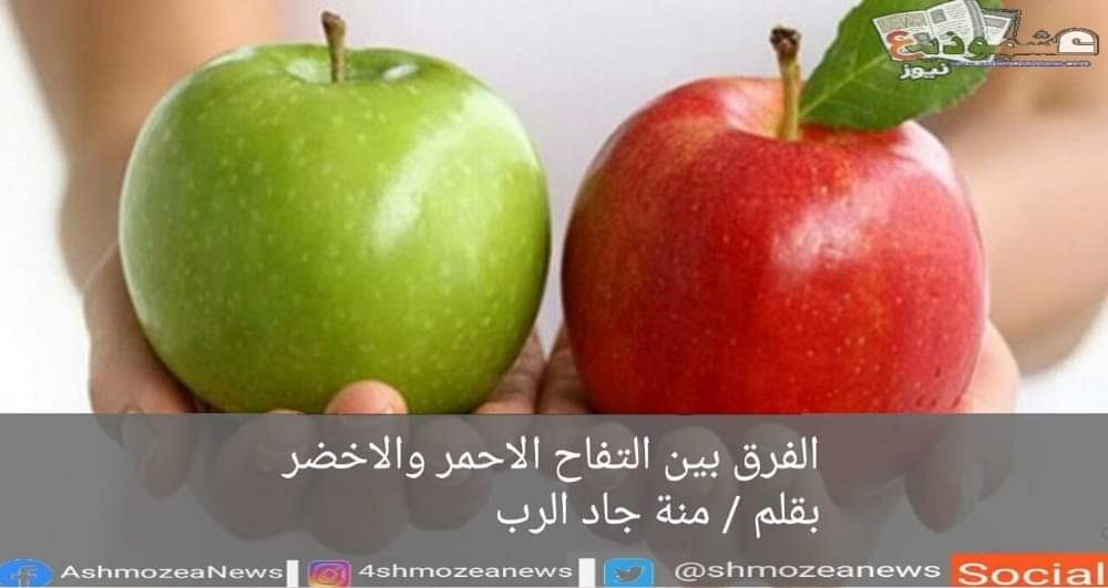 الفرق بين التفاح الأحمر والأخضر