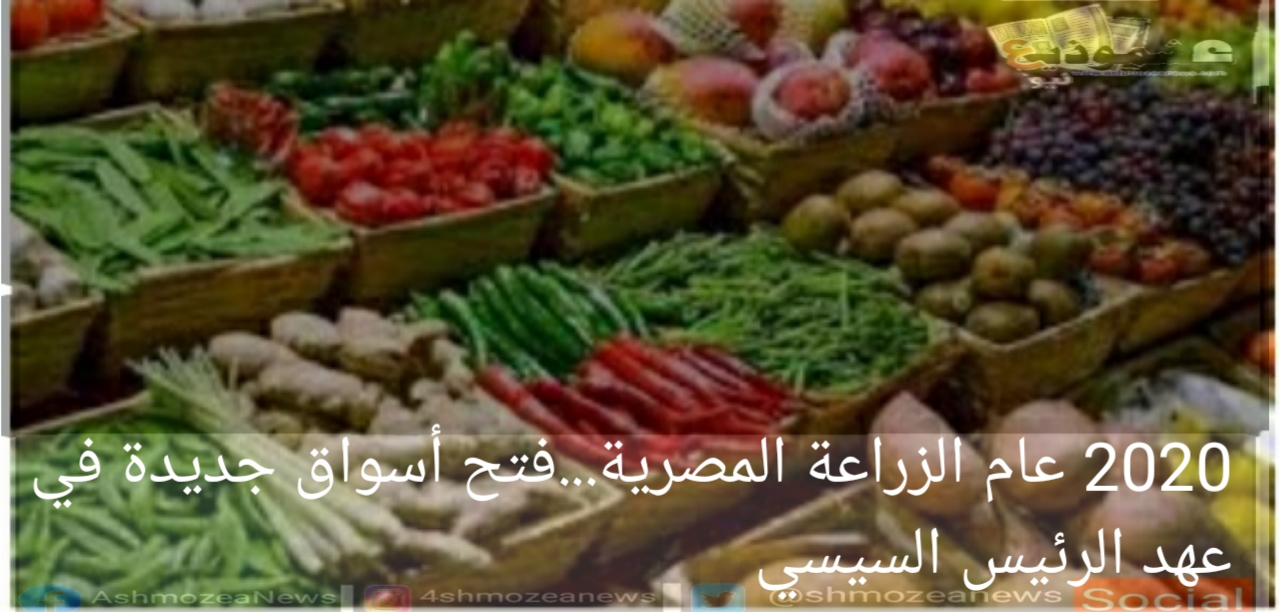 2020 عام الزراعة المصرية ...فتح أسواق جديدة في عهد الرئيس السيسي