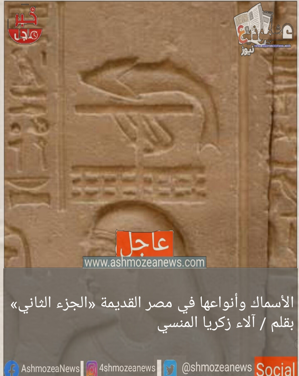 الأسماك وأنواعها في مصر القديمة «الجزء الثاني»