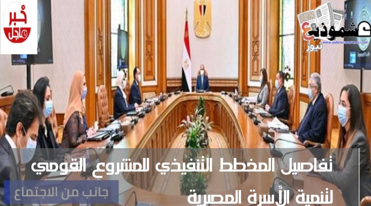 تفاصيل المخطط التنفيذي للمشروع القومي لتنمية الأسرة المصرية