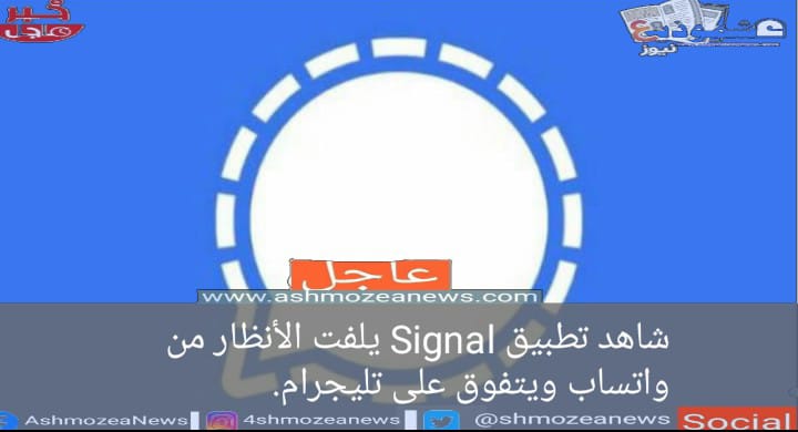 شاهد تطبيق Signal يلفت الأنظار من واتساب ويتفوق على تليجرام