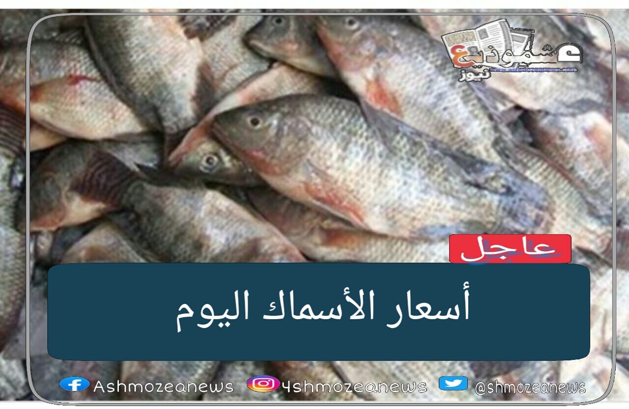 أسعار الأسماك اليوم.
