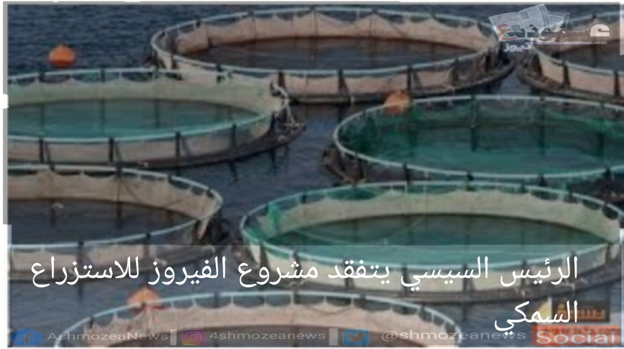 الرئيس السيسي يتفقد مشروع الفيروز  للاستزراع السمكي