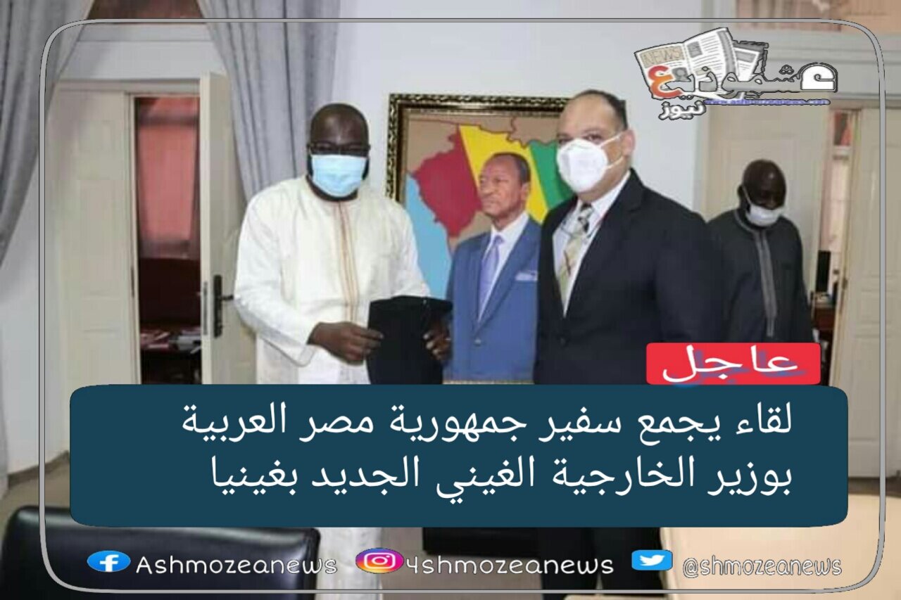 لقاء سفير جمهورية مصر العربية بوزير الخارجية الغينى الجديد فى غينيا 