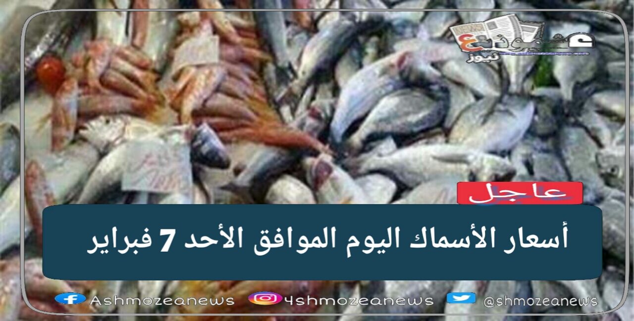 استقرار لكافة أنواع الأسماك اليوم الموافق الأحد 7 فبراير مع انخفاض للسمك البورى 