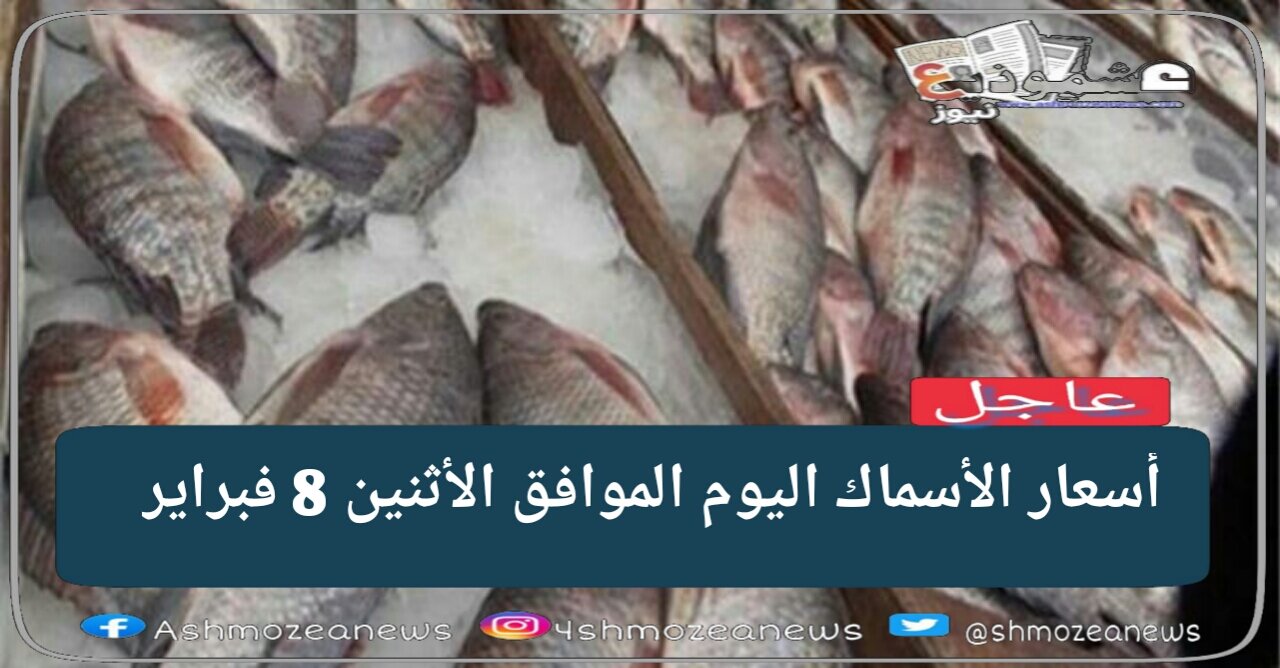 أسعار الأسماك اليوم من قبل سوق العبور 