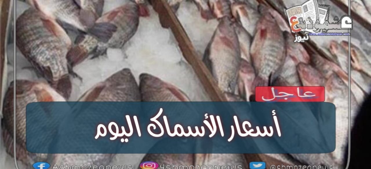 أسعار الأسماك اليوم الخميس الموافق 11 فبراير 