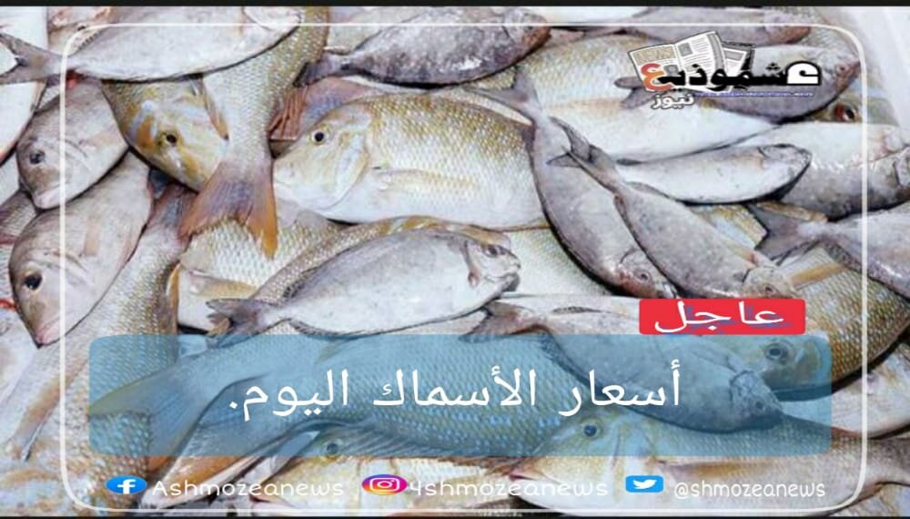 أسعار الأسماك اليوم السبت 13 فبراير.