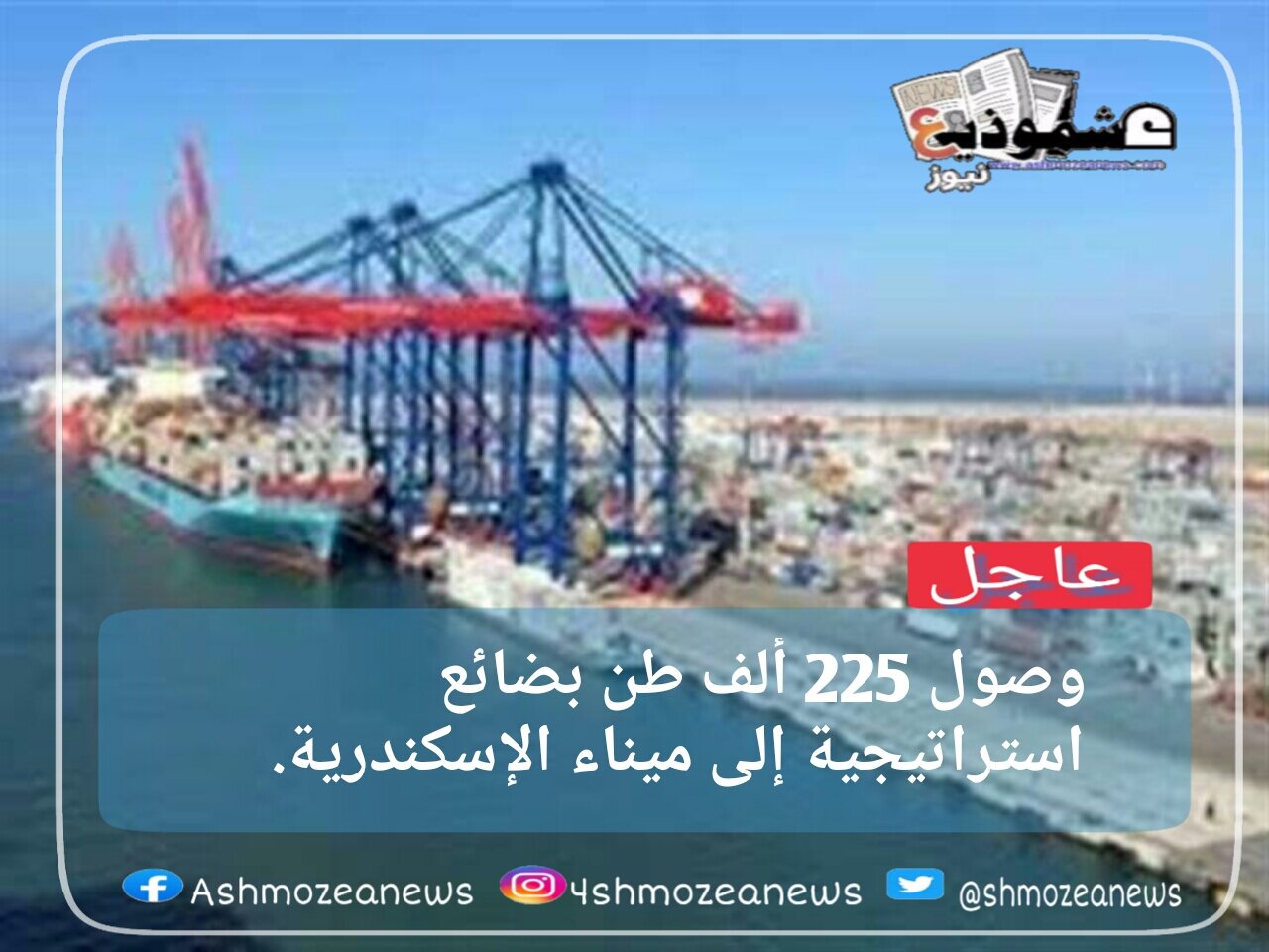 وصول 225 ألف طن بضائع استراتيجية إلى ميناء الإسكندرية.