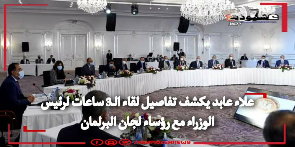 علاء عابد يكشف تفاصيل لقاء الـ3 ساعات لرئيس الوزراء مع رؤساء لجان البرلمان