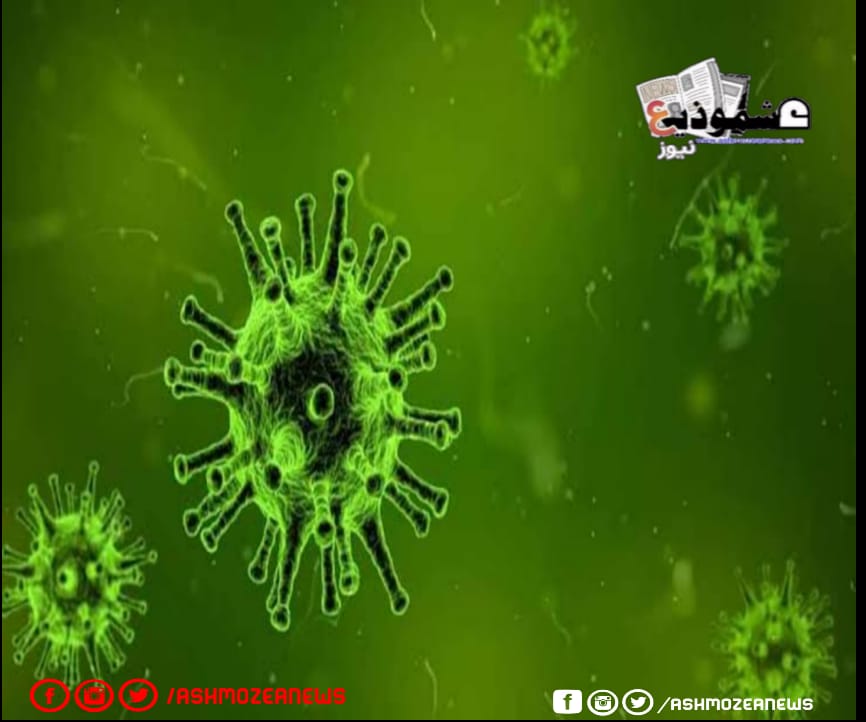 تقرير وزارة الصحة الإيطالية بشأن فيروس كورونا