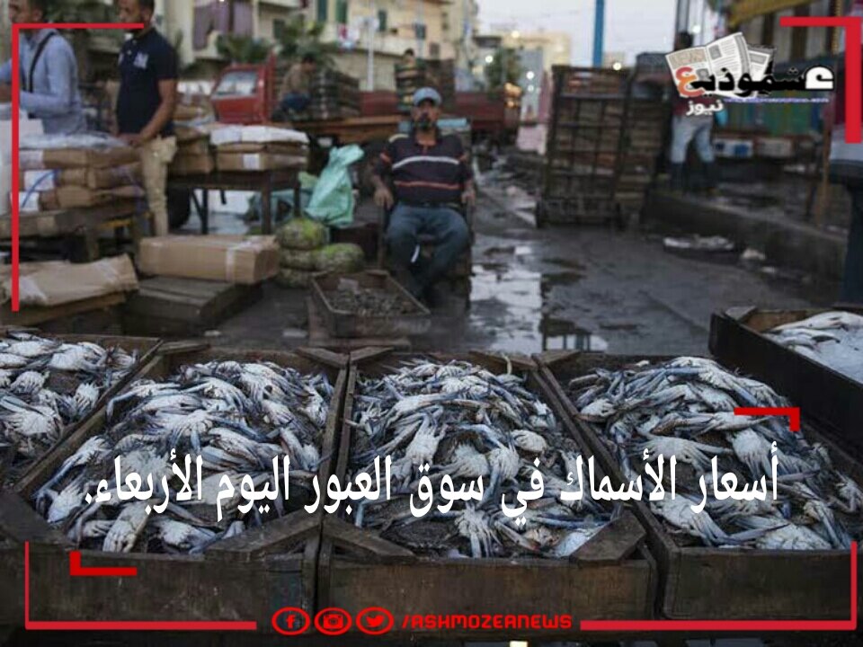 أسعار الأسماك في سوق العبور اليوم الأربعاء