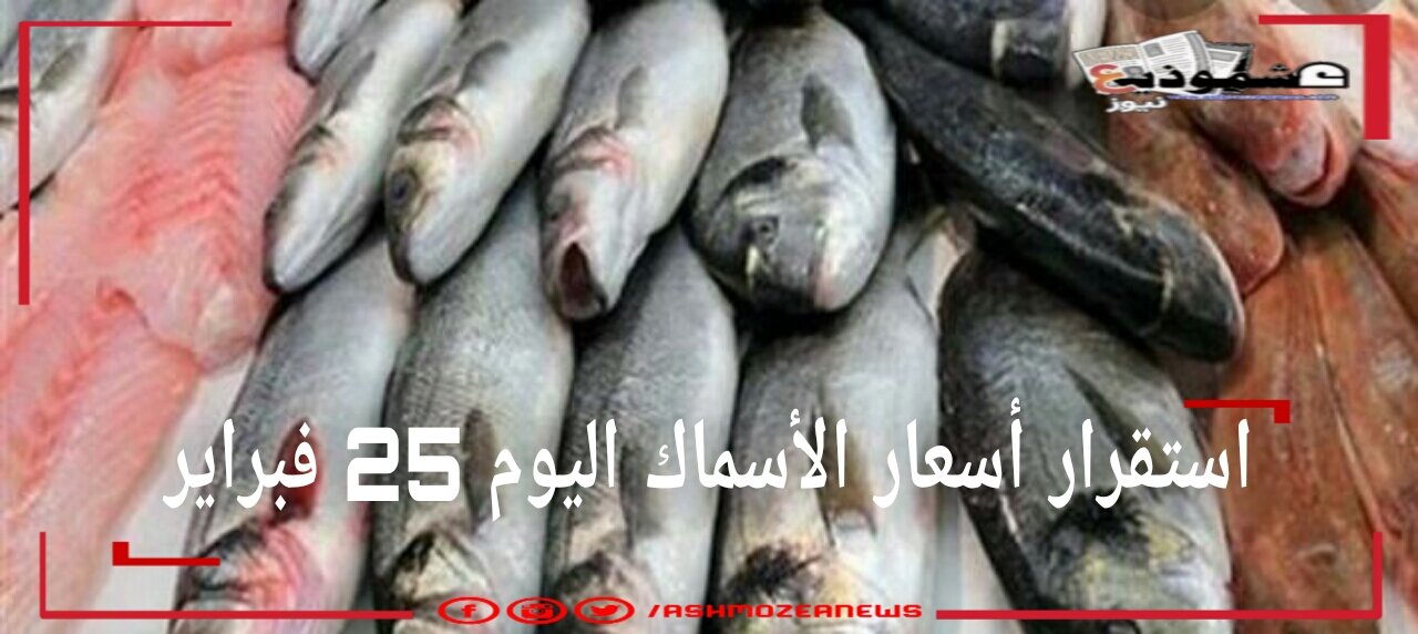 استقرار أسعار الأسماك اليوم 25 فبراير