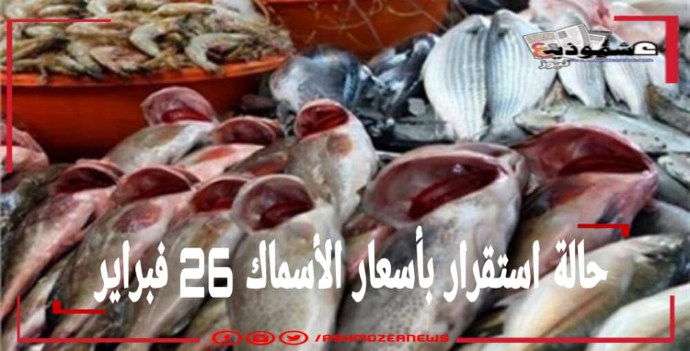 حالة استقرار بأسعار الأسماك 26 فبراير
