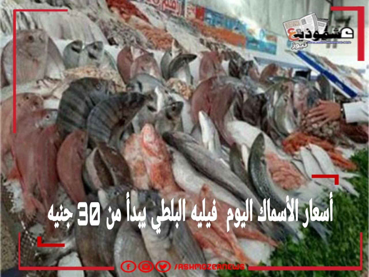 أسعار الأسماك اليوم .
