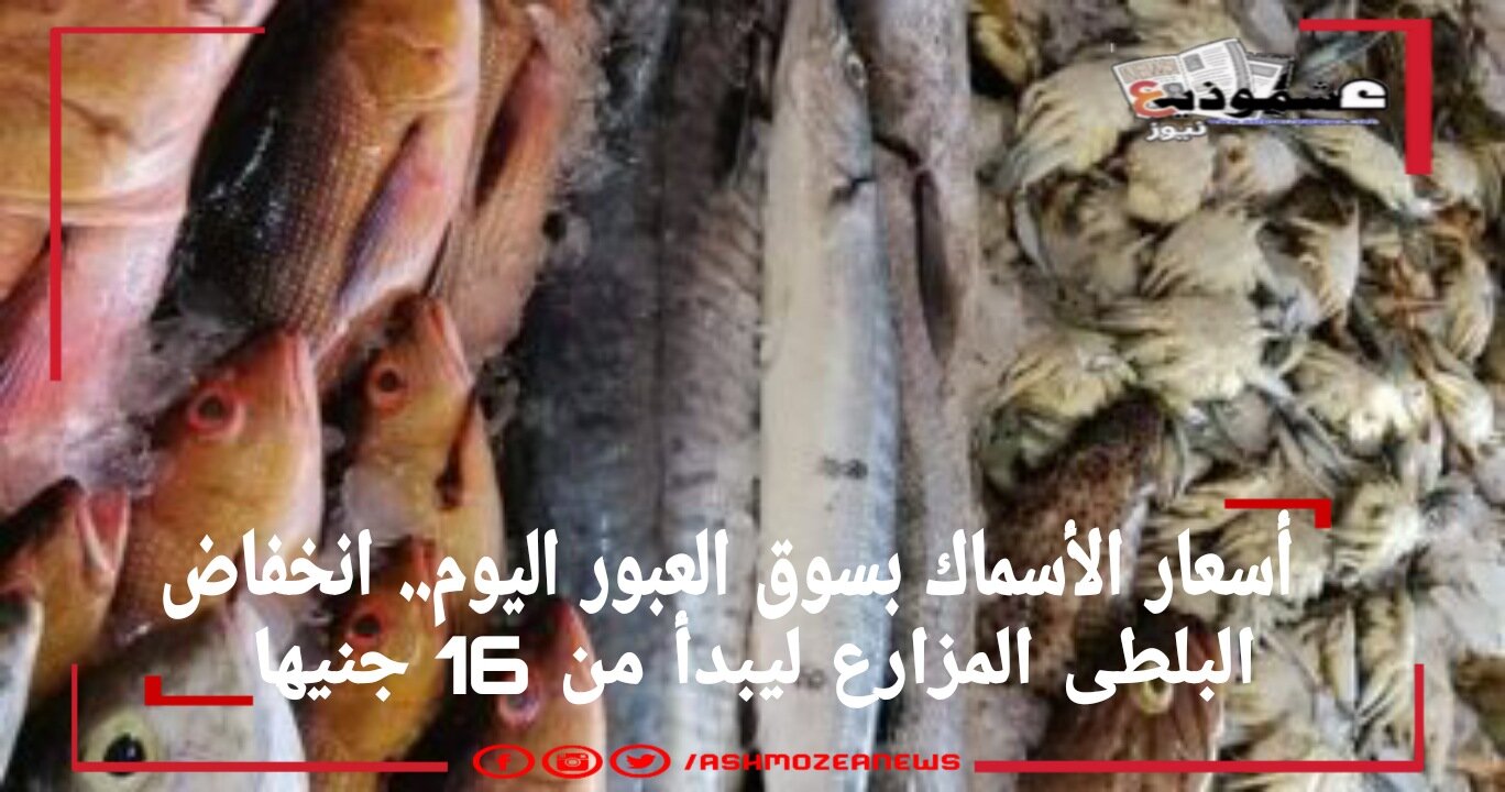 أسعار الأسماك بسوق العبور اليوم.. انخفاض البلطي المزارع ليبدأ من 16 جنيها