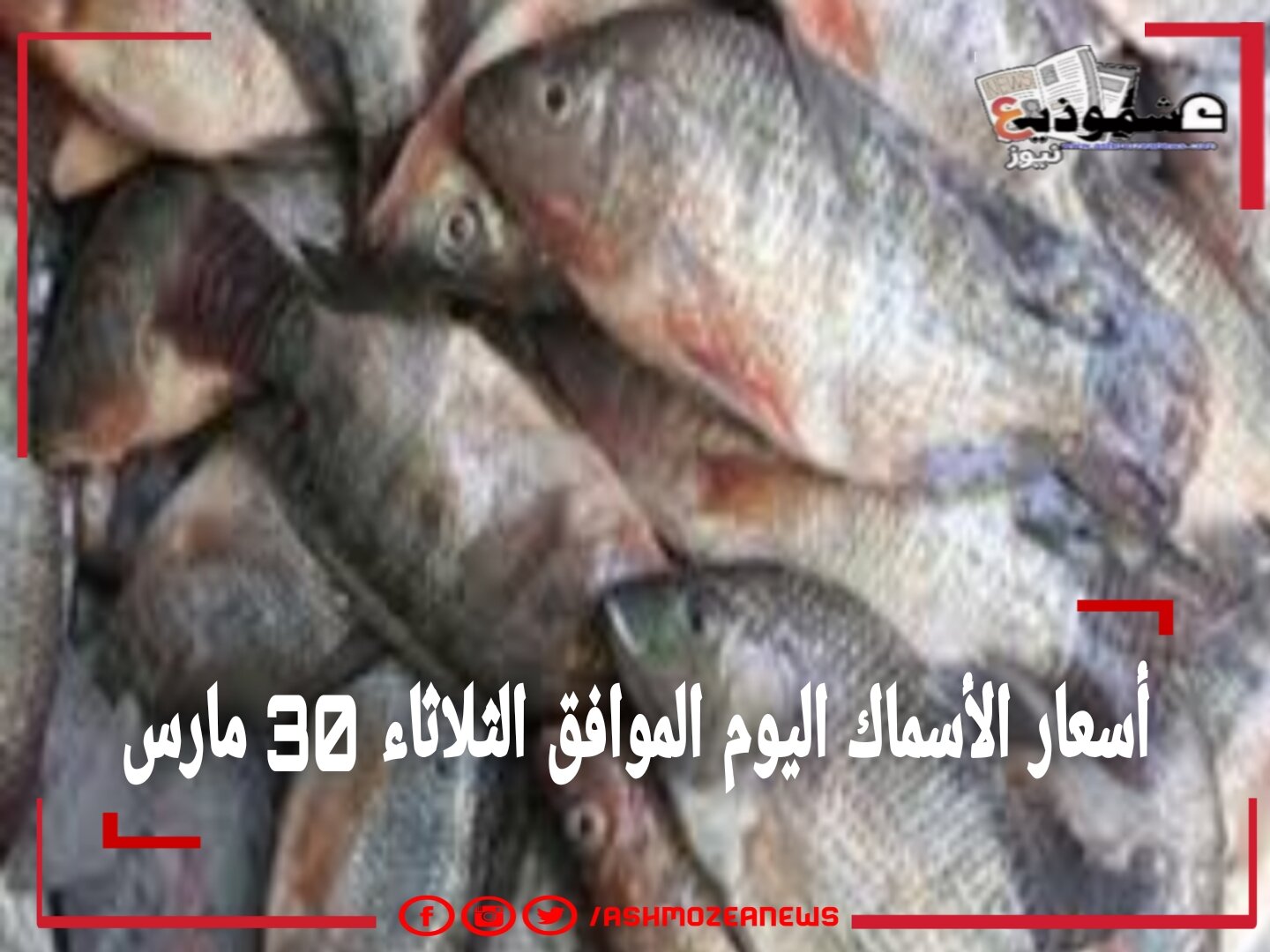 أسعار الأسماك اليوم الموافق الثلاثاء 30 مارس