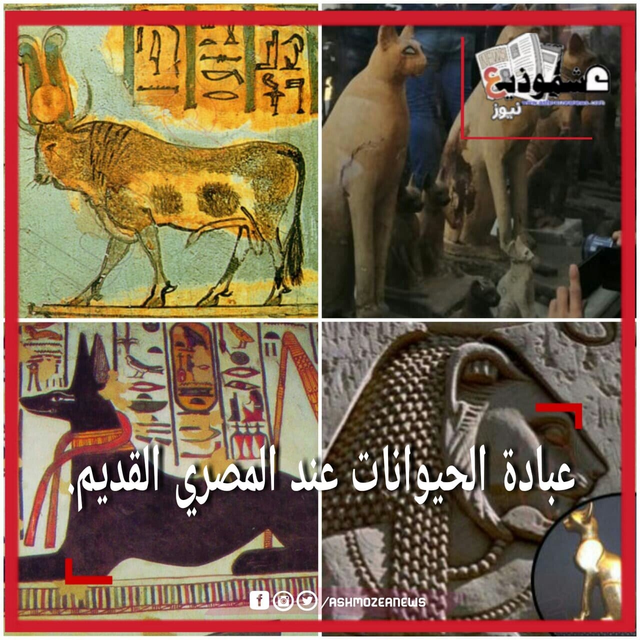 عبادة الحيوانات عند المصري القديم..