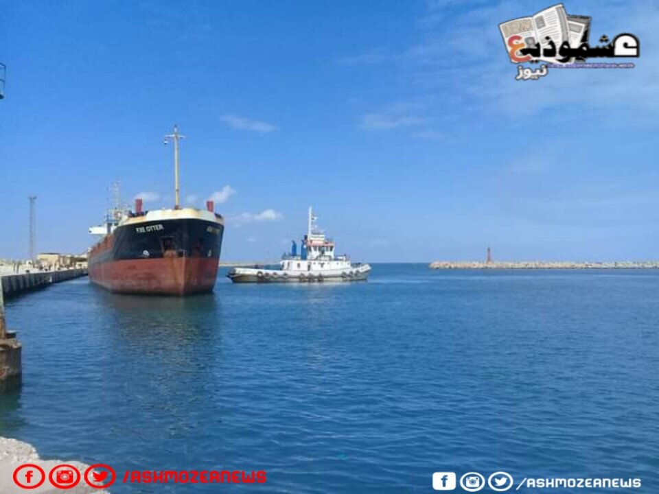 استقبال 38 سفينة في موانئ قناة السويس خلال يومين.
