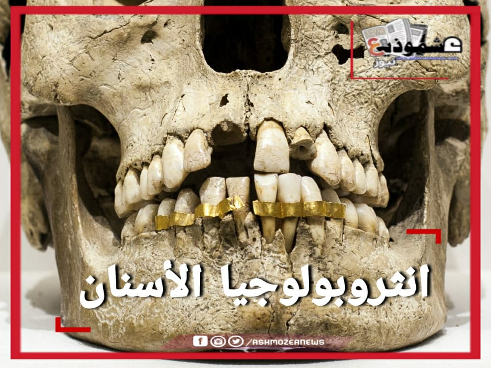 علم الأسنان (انثروبولوجيا الأسنان)