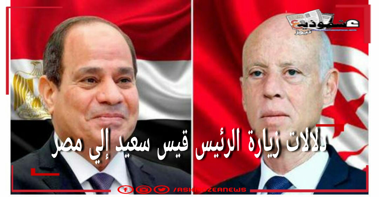 دلالات  زيارة الرئيس قيس سعيد إلي مصر