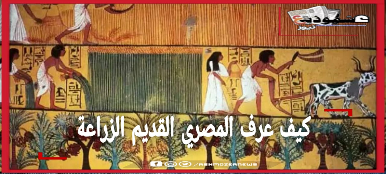 كيف عرف المصري القديم الزراعة 