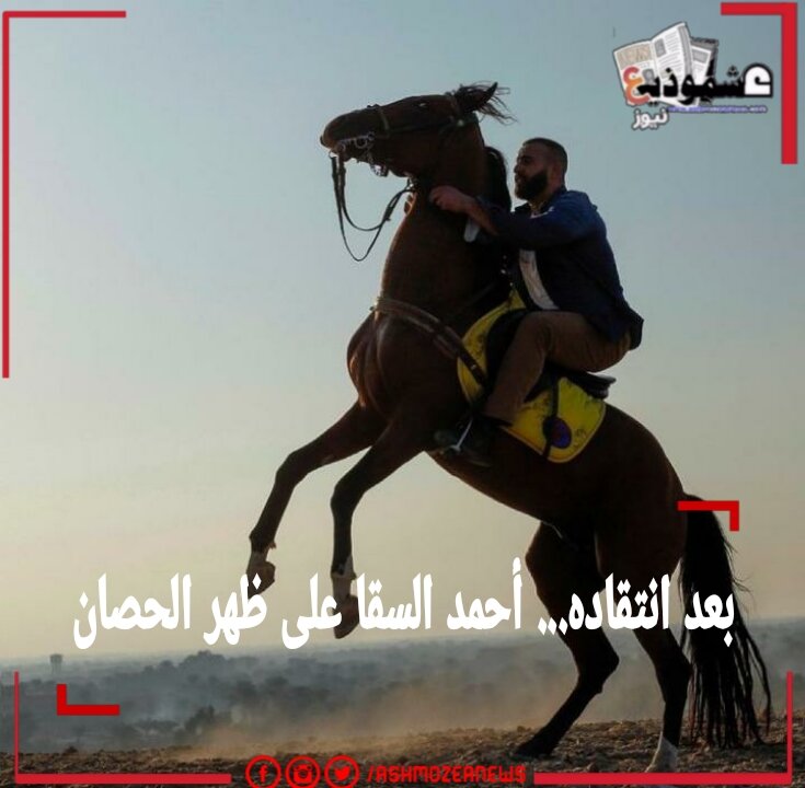بعد انتقاده... أحمد السقا على ظهر الحصان