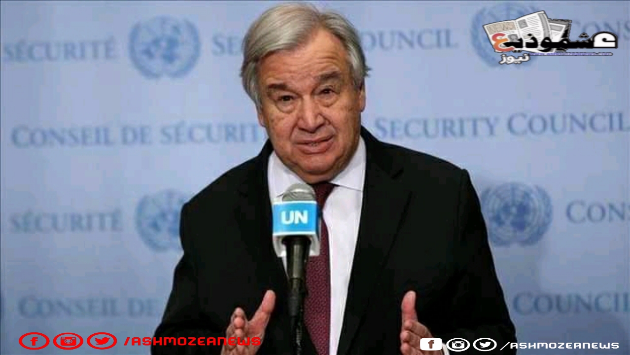 قرار بوقف القتال على فلسطين من الأمين العام للأمم المتحدة 