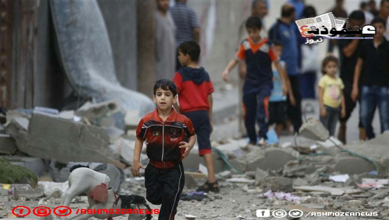 عاجل.. الجيش الإسرائيلي "نحن نقتل أطفال غزة حتى لا يكبرو ويحاربونا". 