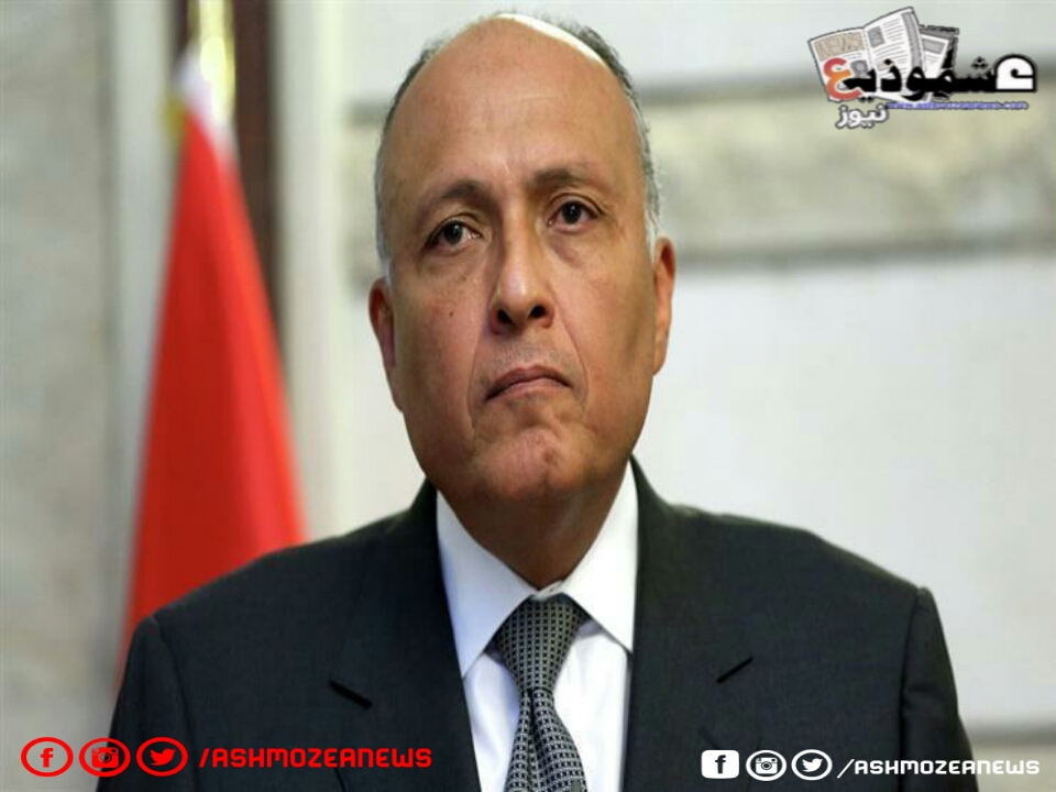 وزير الخارجية المصري يتلقى اتصال من الأمين العام للأمم المتحدة