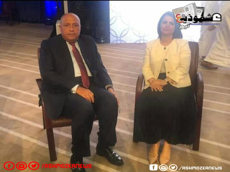 وزير الخارجية المصري يلتقي مع نظيرته الليبية من أجل إجراء الانتخابات