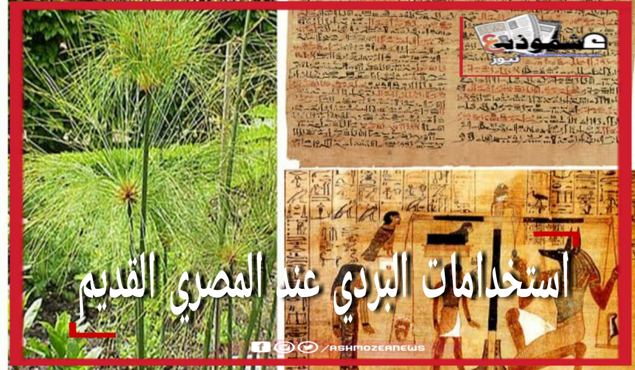 استخدامات البردي عند المصري القديم