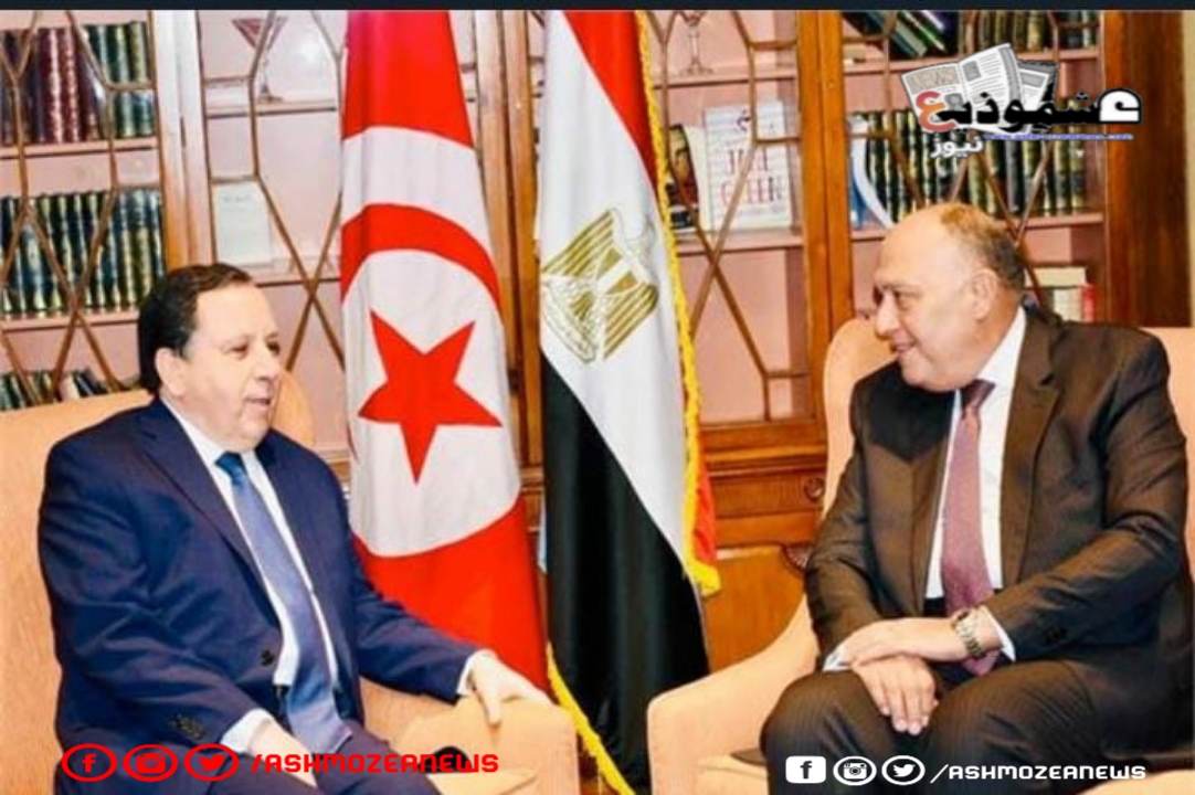 وزير الخارجية المصري مع وزير الخارجية التونسي. 