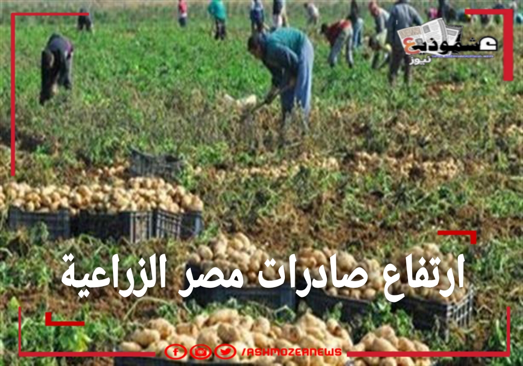 ارتفاع صادرات مصر الزراعية